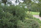 Mitchellstownresidential-landscaping-35.jpg; ?>
