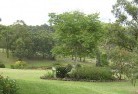 Mitchellstownresidential-landscaping-40.jpg; ?>