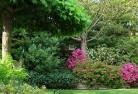 Mitchellstownresidential-landscaping-74.jpg; ?>